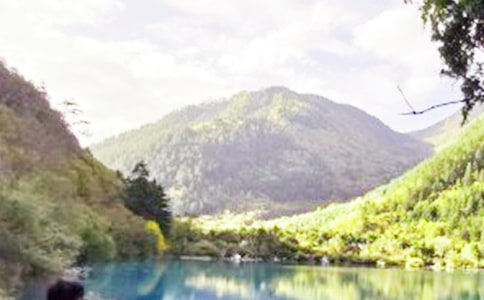 九寨溝導(dǎo)游詞450字