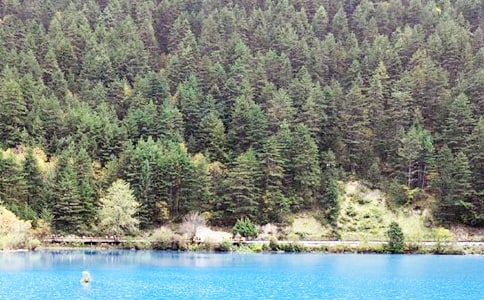 ��կ����ӛ���ġ��᡿