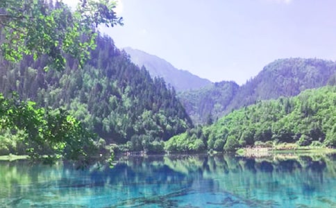 九寨溝導游詞作文范文300字