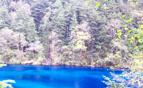 ��կ����ӛ����800��