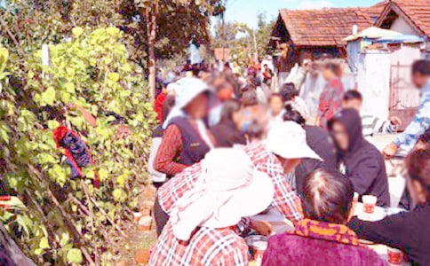 ���ϴ�W�k��ϯ��Ո����ͨ��23ƪ��