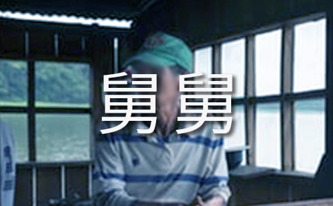 (集合)關(guān)于舅舅的作文4篇