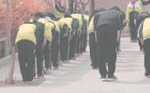 向母愛鞠躬的作文(通用21篇)