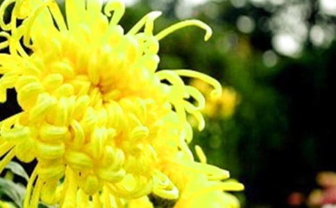 ����ľջ����ģ����x31ƪ��