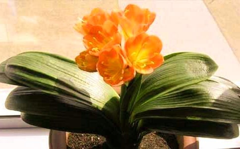 �^������m���ģ����x34ƪ��