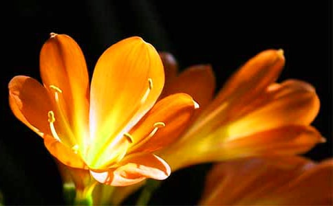 �����m�^����ӛ