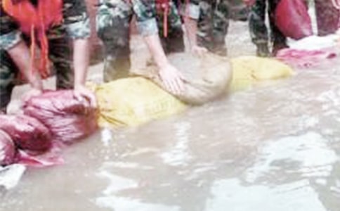 �P�ڿ���Ȟľ�������ķ���