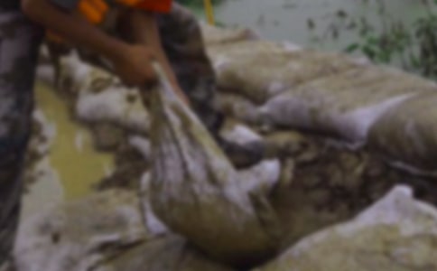 河南抗洪救災(zāi)初中作文