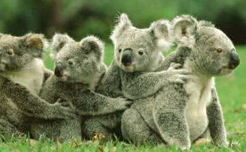 ��������(li��n)�����_��(b��o)���Ļ ����ṩ��(y��u)�ݷ�ֵ