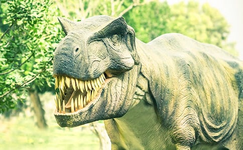 ���ݿ����@��ӛ���ģ�ͨ��29ƪ��