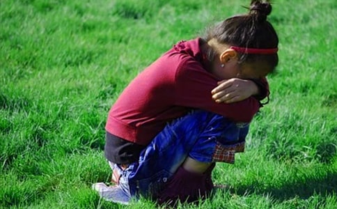 大樹們的哭泣童話故事作文200字