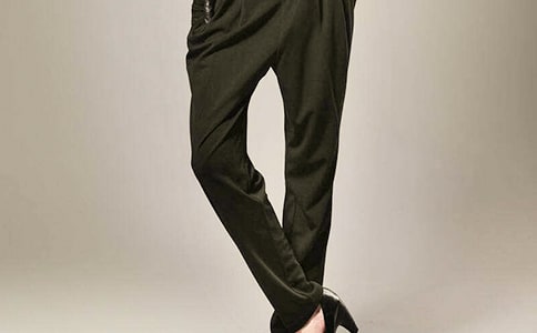 大象的褲子作文