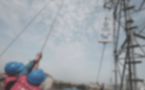 ������׌������������ -��������