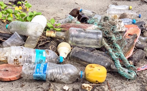 �����е������ֳ���(b��o)