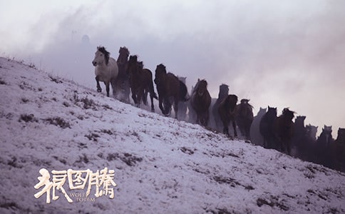 �ǈD�v�x���100�ֹ���ƪ