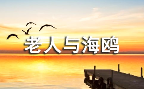 讀老人與海鷗有感