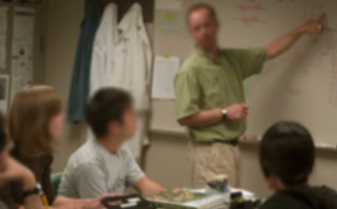 �ώ���ȹ������Y(ji��)(�ϼ�15ƪ)