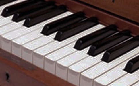 һ������Ę�������