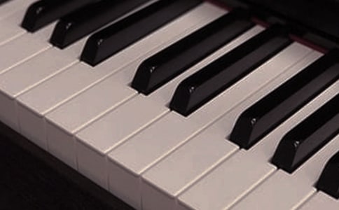 一件神奇的樂器_小學(xué)作文