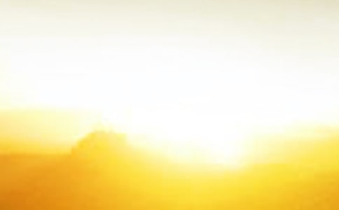 森林中的黎明童話作文