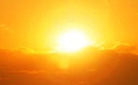 有關(guān)森林的黎明童話作文600字