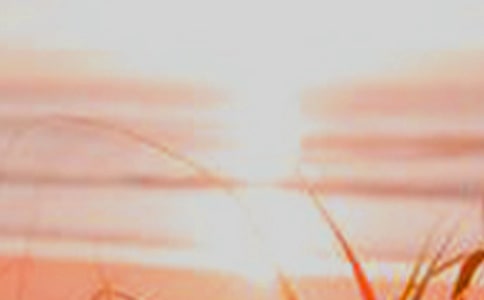 《誰(shuí)先迎來(lái)黎明》教案