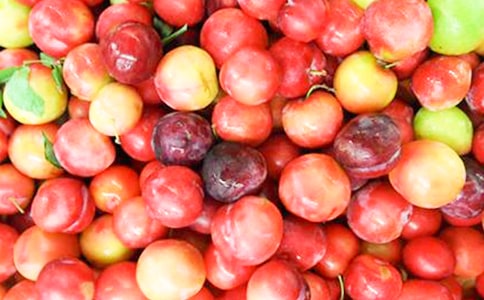 �P(gu��n)�����ӵă�(y��u)������