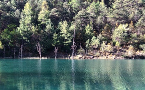 �����ų���ӛ����15ƪ������