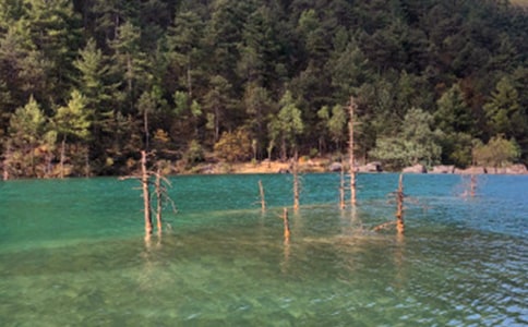 ������ӛ����36ƪ