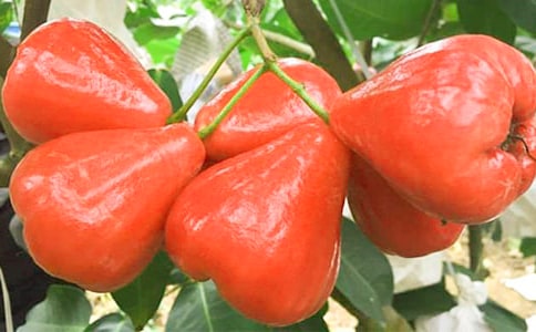 ɏ�F���꼉(j��)����