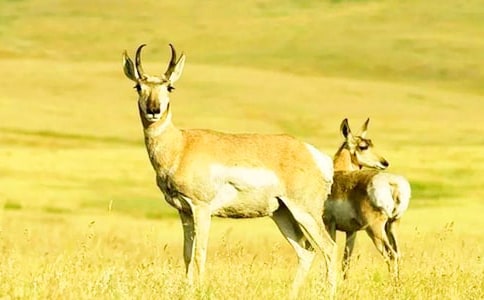 �����ĸ��-�x��������Ĺ�ݡ��и�����600��