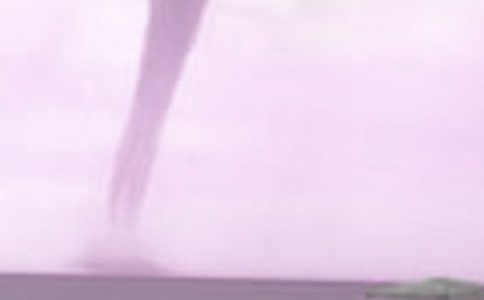 ��ܽY(ji��)��(g��u)�������L(f��ng)�����µĺ��d����