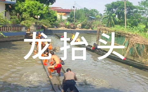 2月2龍?zhí)ь^的祝福語(精選55句)