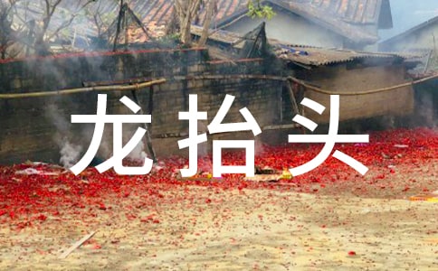 關(guān)于二月二龍?zhí)ь^的作文