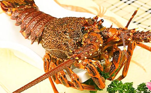 ���rơ�ƴ��g��������