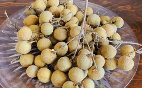 我愛家鄉(xiāng)的龍眼作文