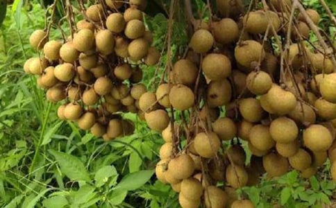 ���l(xi��ng)���خa(ch��n)-��������