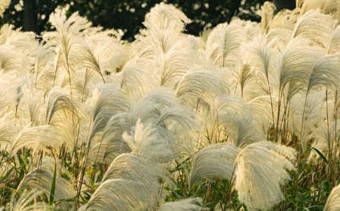 �JȔ?sh��)Ć�ʾ���?/></p>
<p>����������ʲô�������Ǿ`�ŵĻ������������¸�ȥ�挦(du��)���y��Σ�U(xi��n)�ľ������������JȔ���L(f��ng)��������(zh��ng)���B��(qi��ng)���������� (t��ng)�JȔ�o�ҵĆ�ʾ�ᣬՈ(q��ng) (t��ng)���渵���(l��i)��</p><p>�����������ż�Ҋ(ji��n)�^(gu��)�S���JȔ�������p�p�ؿ��ڰ�߅���S��΢�L(f��ng)���������(d��ng)���q��һλλ��l��Ů��һ��Մ?w��)������õ����������������õĕr(sh��)����</p><p>������һ�����ҏ�3�Ǵ�������������Ҋ(ji��n)�쐞�������������ܲ������ź��⹫һ���������������������ϕ�ĵ��ȣ����s�o��ȥ��æ�����Ȅ����M(j��n)��(l��i)���҂��۵Úⴭ�����ģ��Ϳ�Ҋ(ji��n)���桰�W�������������_(k��i)ʼ�����˃A�������</p><p>������ͻȻ��Ҋ(ji��n)�Ӱ�߅���JȔ�������c��������������֮�e������һЩ�JȔ�D�y��ֱ���������¸ҵ��挦(du��)���L(f��ng)������Щ�JȔ���^�ʚ�؏��������@��������������Щ�JȔ�ѽ�(j��ng)һ���w�����������L(f��ng)�۔����������ǑK���̶ã��@Щ�������L(f��ng)�ƺ������ˌ�(du��)���đK�������Ӳ�������СС����ˮ����Ҳ׃���L(f��ng)�Ŀ��ܣ������L(f��ng)�������ݺݵش��ڴ������JȔ�����ҵ��ľ�������(l��i)�������@Ƭ�������JȔ���@�ӟo(w��)�ʵ���ʧ�ˣ����L(f��ng)�o�o��߬������������߀��</p><p>�������^(gu��)���JȔͻȻ������uѪ�Ƶ��֡�վ��������(l��i)���S���L(f��ng)�h�h���Ƶ��赸���L(f��ng)�ƺ��ں𡰄e�������������ܲ����ģ���</p><p>������һ��(hu��)�����L(f��ng)����������Ҳ���������@һ��(ch��ng)�L(f��ng)��ƽϢ�����ҵ�����˼�w�f(w��n)ǧ��?ji��n)α����JȔ�ܲ���֧�ε�����أ�</p><p>�����ڶ��������������̷����´����ܵ����_(t��i)߅���JȔ���l(f��)�F(xi��n)�JȔ��Ȼ߀���������L(zh��ng)�ø���ǰһ�������[�[�����f���L(f��ng)�Ѓ�(y��u)�����赸���JȔ�U�����ԭ��(l��i)���։������Y(ji��)��(sh��)�ˡ����룺�JȔ���(ji��n)��(qi��ng)����(j��ng)�v���@�ӵ�ĥ�y���Ժ����ٴ���L(f��ng)������Ҳ����(hu��)���ˣ��挦(du��)��(y��ng)���@��һ��Ԓ������(j��ng)�v�L(f��ng)�꣬��ôҊ(ji��n)�ʺ�����</p><p>�������ڌW(xu��)��(x��)��ҲҪ���JȔ�W(xu��)��(x��)���������ǈ�(ji��n)��(qi��ng)���挦(du��)�κ����y��</p><div   id=