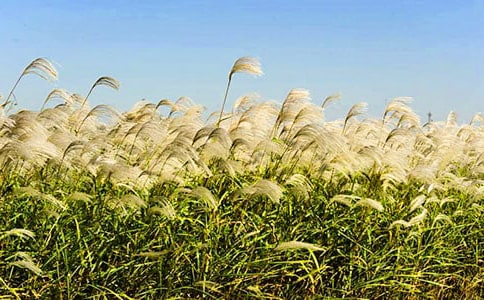 ��(sh��)�õ��JȔ?sh��)����?00��