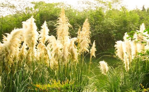 �P(gu��n)���JȔ?sh��)����?/></p>
<h2>�P(gu��n)���JȔ?sh��)����?</h2>
<p>��������������t�ƾG��</p><p>�����޺��W�q�ķ��A�������������˻ؑ�......</p><p>�������µ��_�^���@�ӵ�����ƫƧ�Ĵ��f����һƬ�JȔ����������?zh��n)������۵?�fԒ��