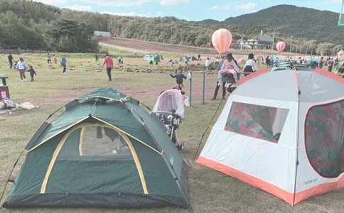 ��¶�I��������