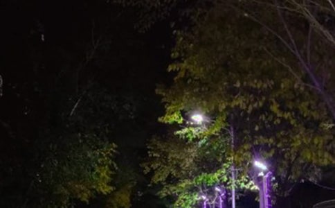 月亮與路燈作文2篇