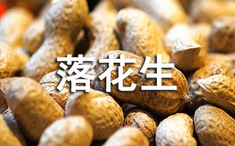 小學語文落花生教案(通用19篇)