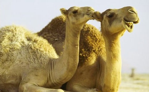 ������_һ���ˆ�����