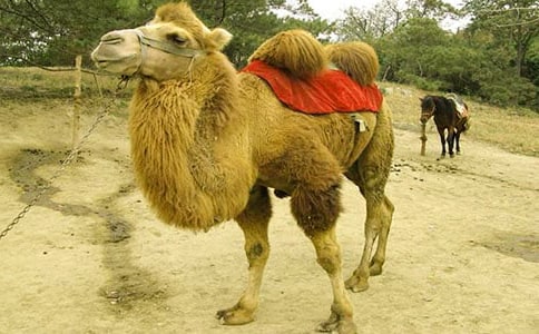 ���T����W(xu��)ӛ���^���