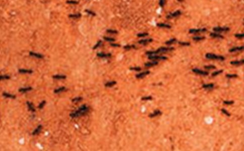 �^��Λρ��С�W(xu��)��ӛ