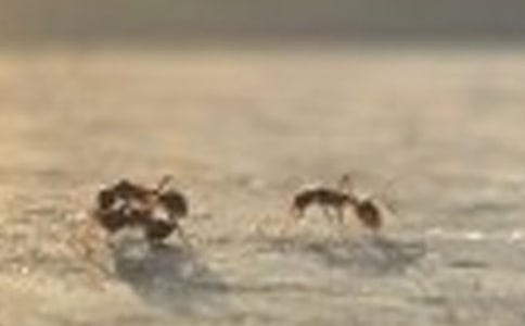 �����]��Λρ�^����ӛ