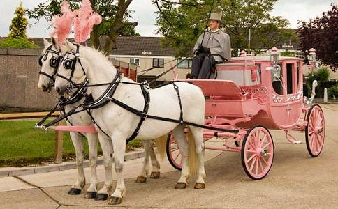 �n��:�Ƅ����{�R܇�R�(q��)���M