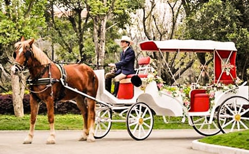 《時(shí)間像小馬車》的教學(xué)反思范文