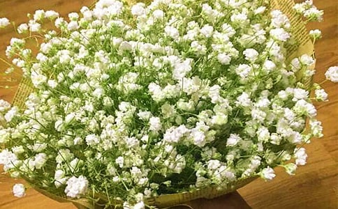 描寫滿天星星的作文